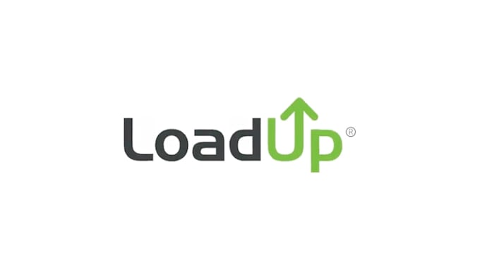 create professional 2d logo animation and custom intro video