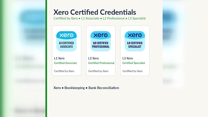 enter and organize your xero financial data