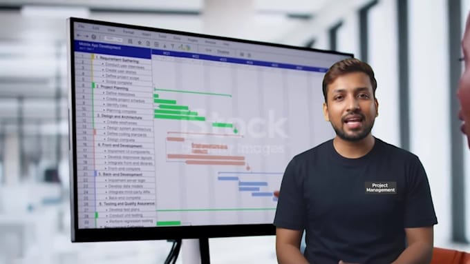 create professional gantt charts project plan and tracking in ms project