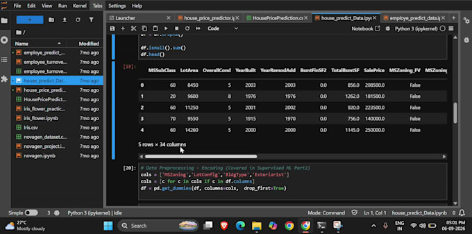 do python data analysis and data cleaning