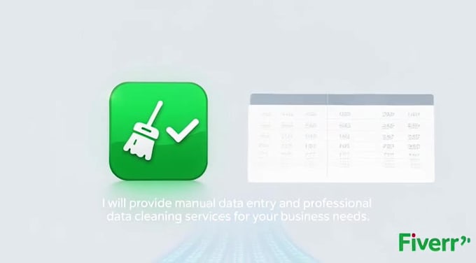 provide manual data entry and professional data cleaning
