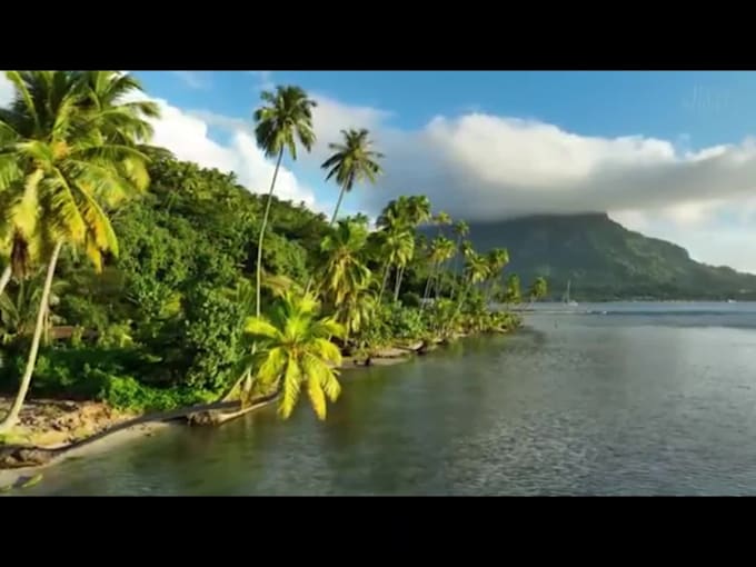 create professional video for website design