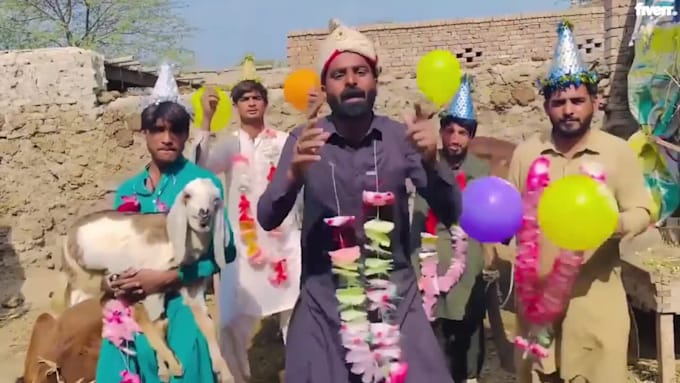 wish happy birthday video or happy birthday video