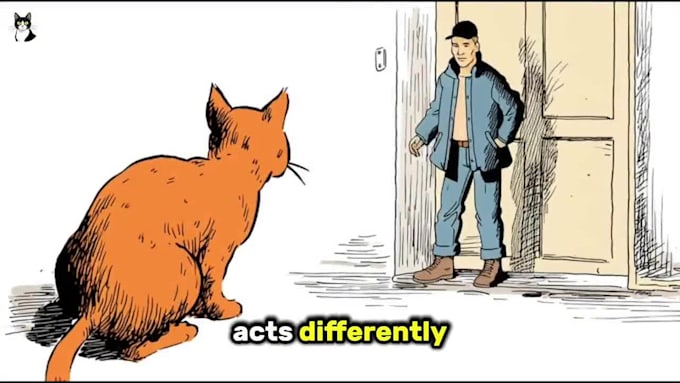 create animated cat explainer videos like felune