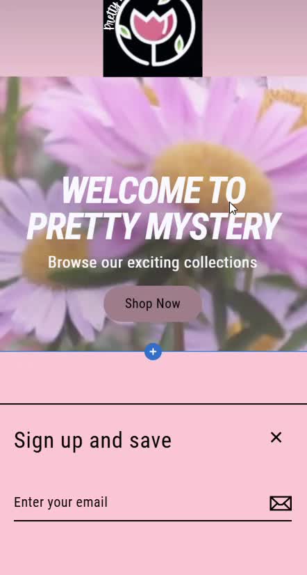develop responsive shopify stores