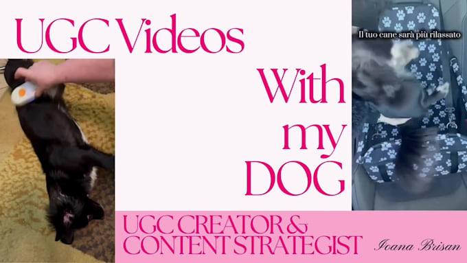 create premium ugc pet videos featuring my dog dea