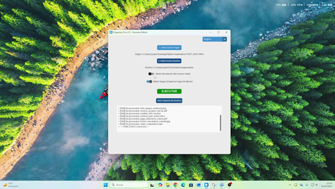build a custom windows file organizer app with gui