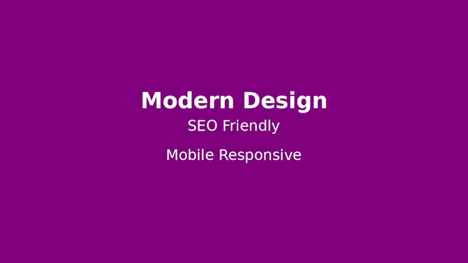 develop a fast responsive website for your business