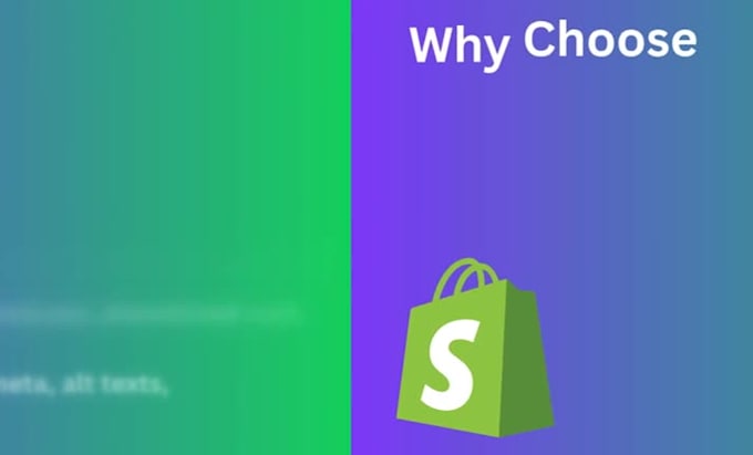 do a professional shopify store audit to boost sales