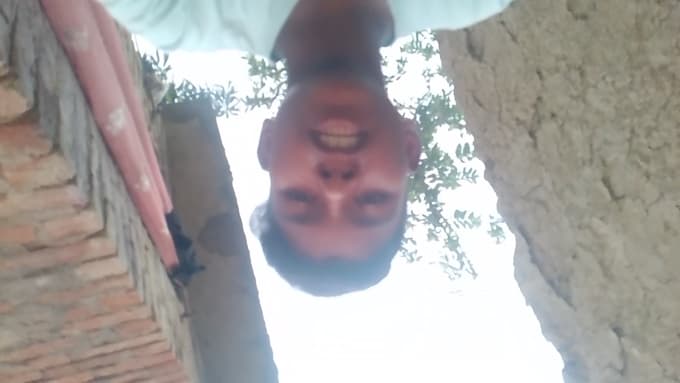 remove background from video and photo professionally