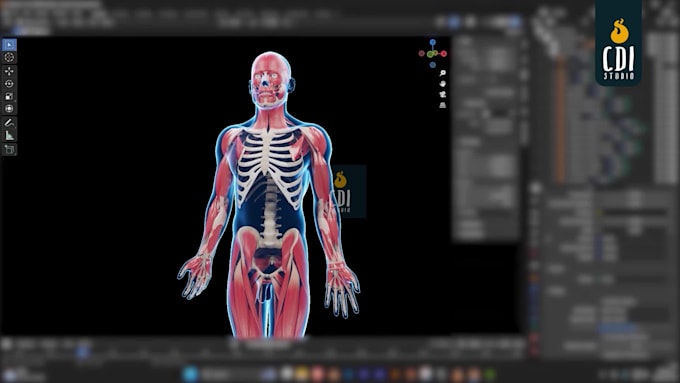 create professional 3d medical animation and moa videos