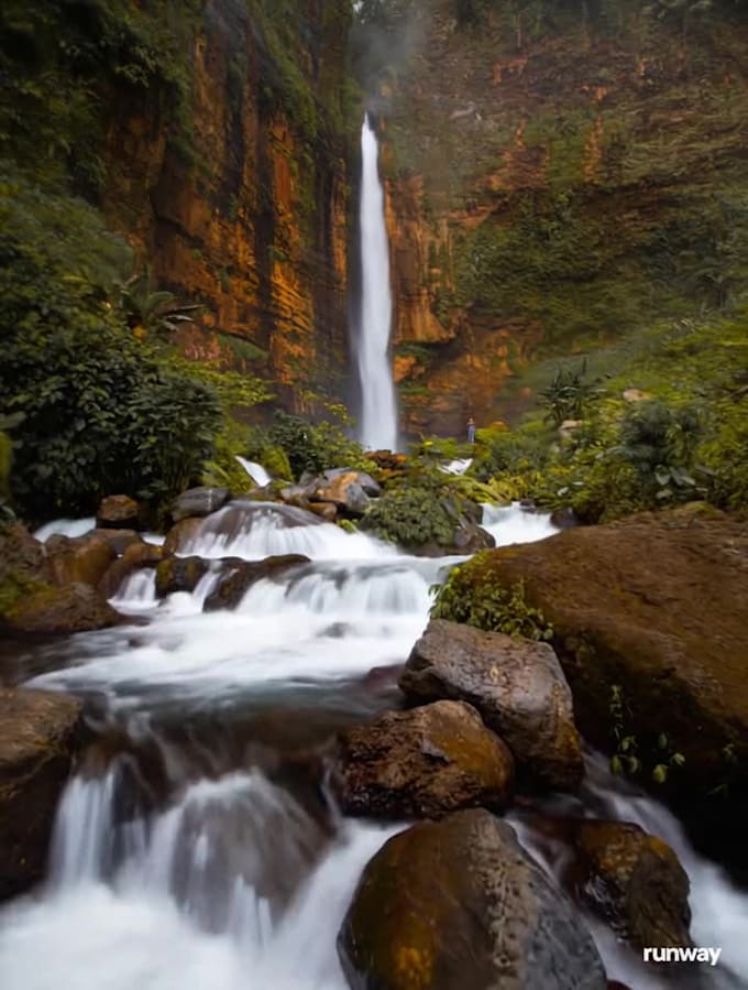 create cinematic ai videos from real nature photography