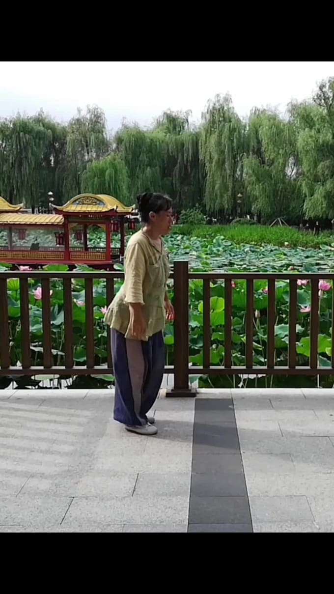 film tai chi, qigong, yoga videos for your wellness project