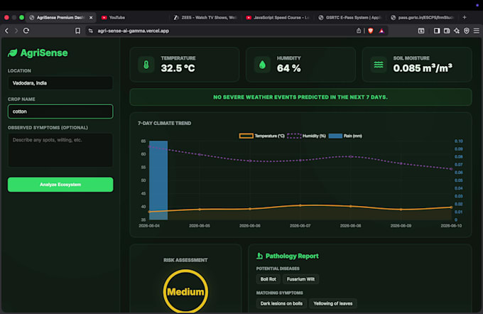 build a custom mern stack web app