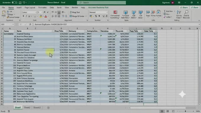 clean your excel sheets data