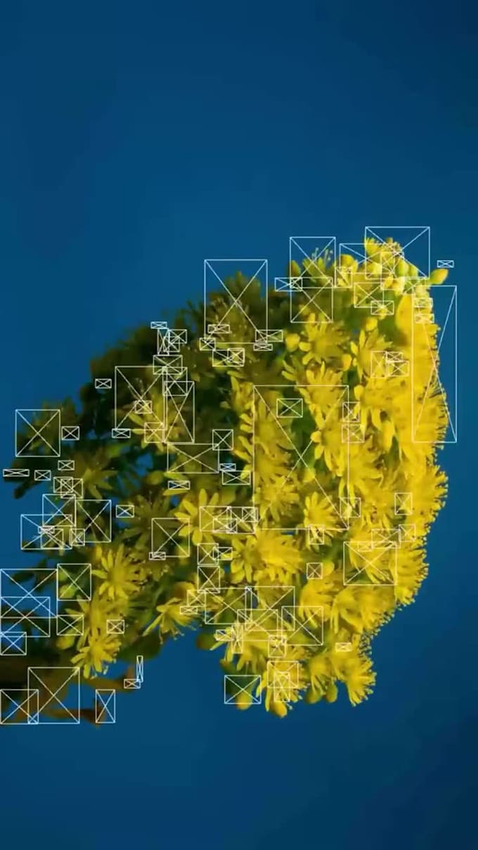 create immersive touchdesigning tooling consultation generative arts and visuals