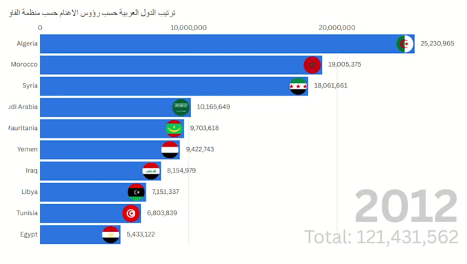 create interactive data visualization using flourish