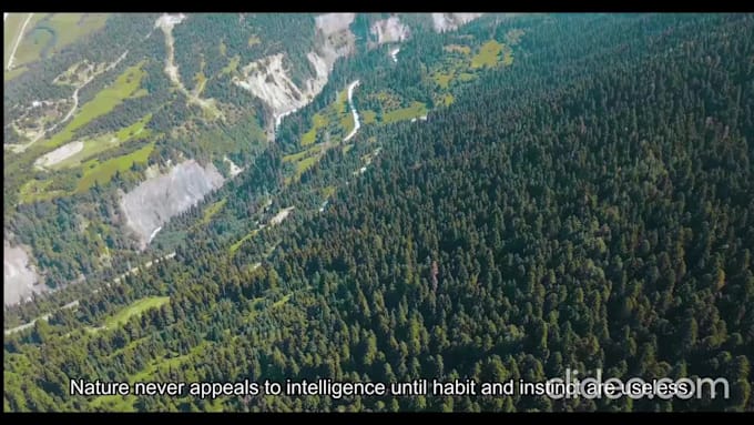 transcribe audio and video and create accurate srt subtitles