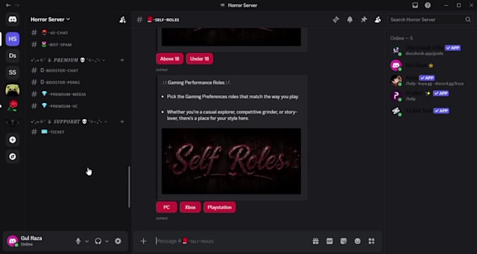 create a professional discord server setup