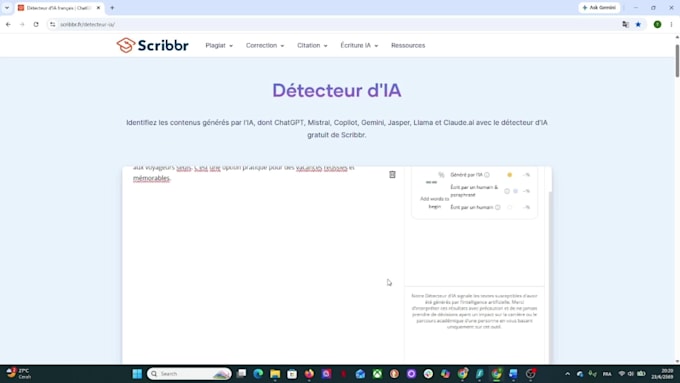 humanize and proofread your french ai generated content