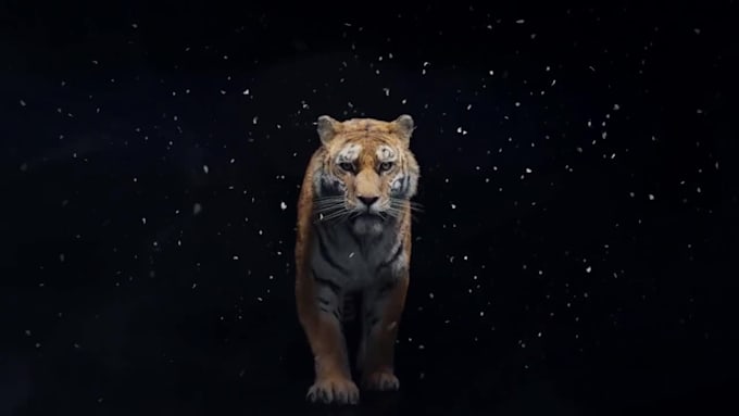 do 3d animation, 3d animal modeling, rigging and kids animation video
