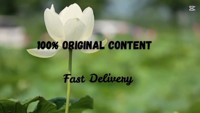 provide fast and accurate typing and content writing