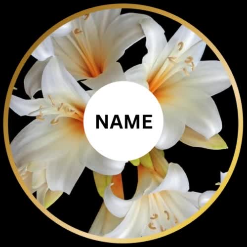 create an eye catchy logo for the brand