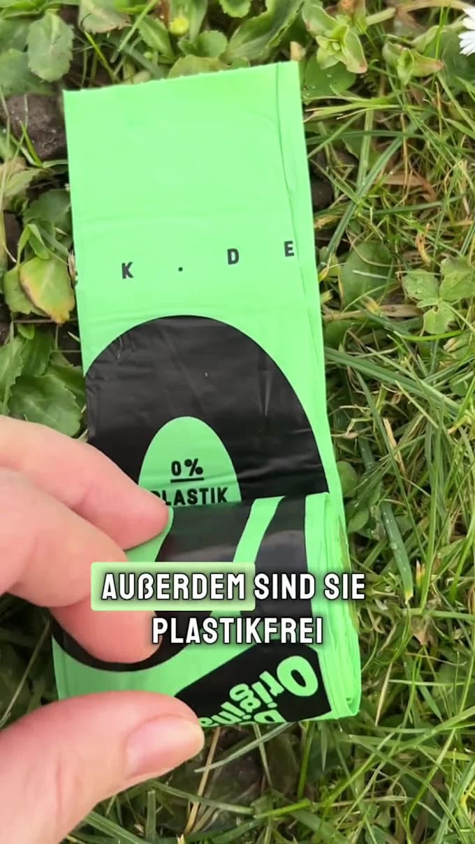 be your german dog ugc creator for instagram meta and tiktok