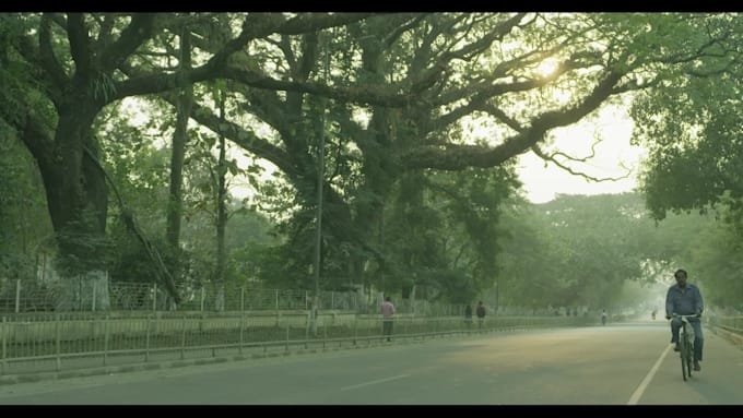 color grade your short film professionally