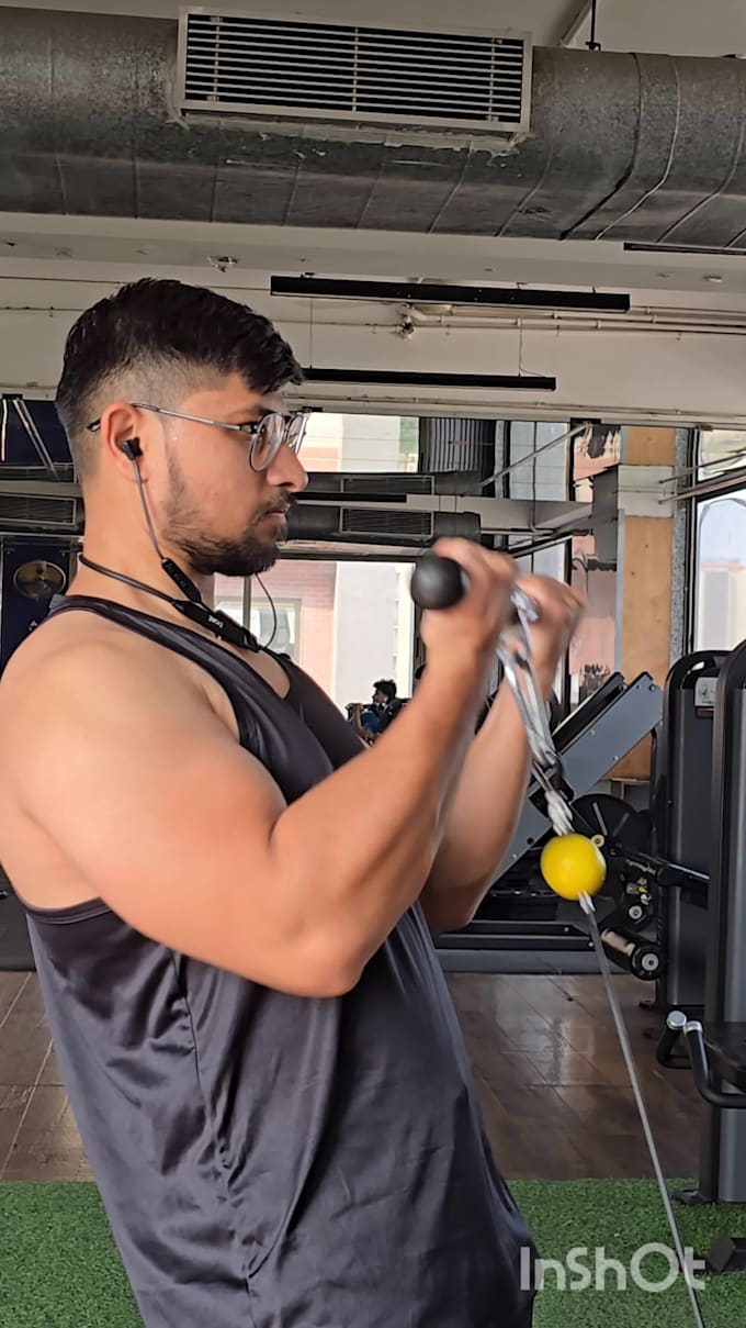 provide professional fitness training