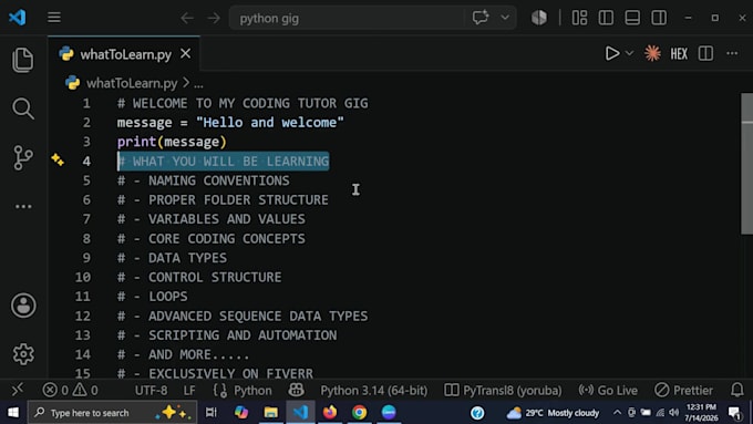 be your python coding mentor ai scripting programming tutor