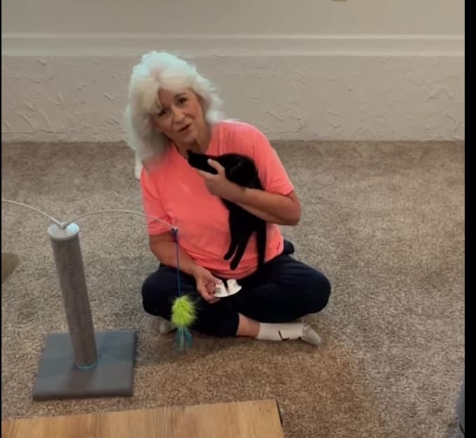 create authentic ugc videos for pet brands