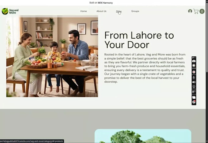 design a professional wix website and wix e commerce