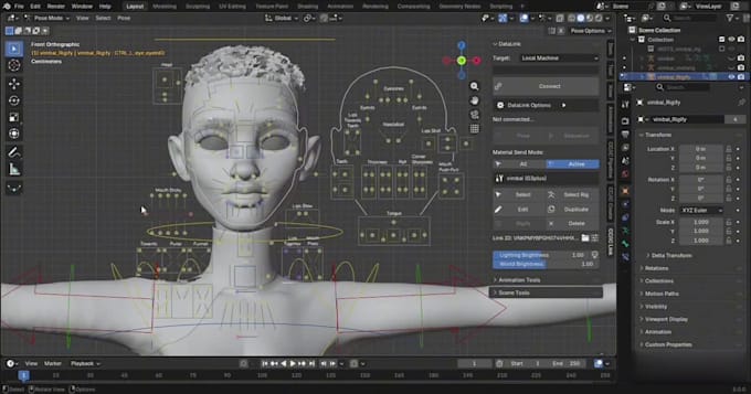 Dancing Rig Animation Rig3d for dancing animation, ik fk control,3d face rig,fix weight paint ...