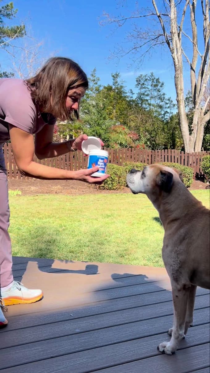 create authentic and engaging pet dog ugc videos