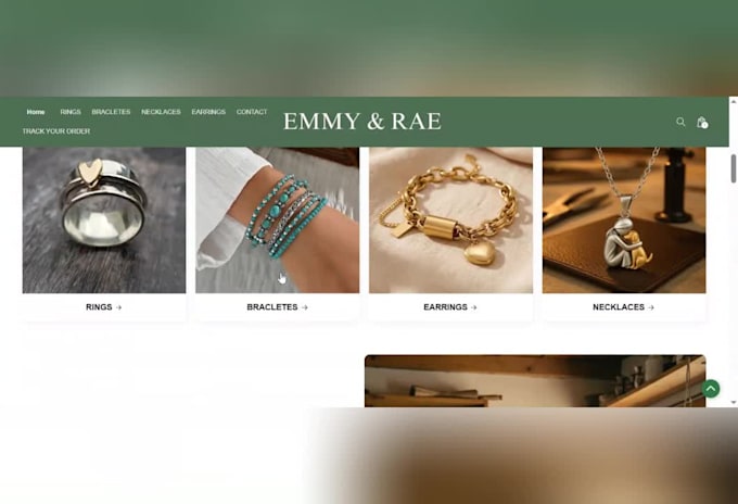 build a professional shopify dropshipping store and ecommerce website