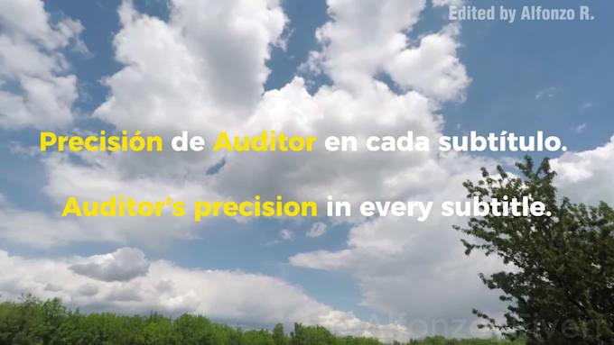 create professional dynamic subtitles