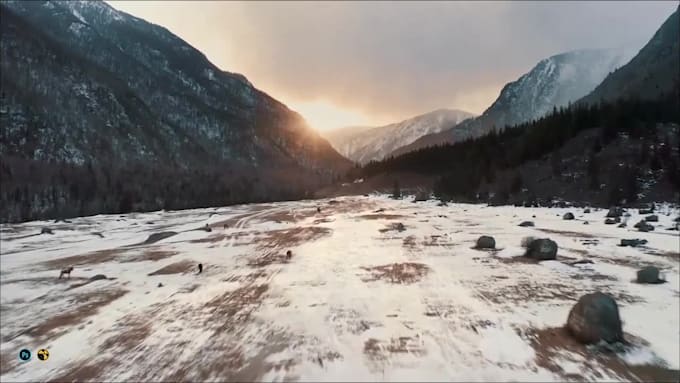 do professional vfx compositing, cgi, visual effects, and video editing
