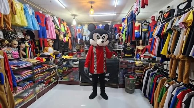 make custom mascot cosplay costume