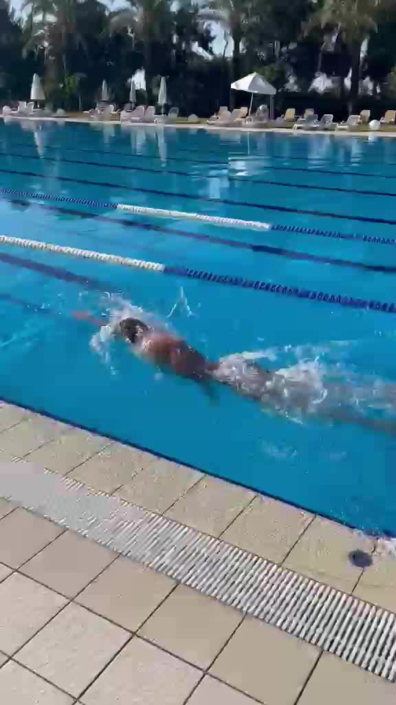 create your personalized swimming workout and training plan