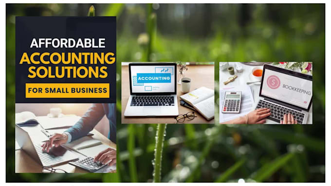 do setup, cleanup bookkeeping, using quickbooks, wave and xero