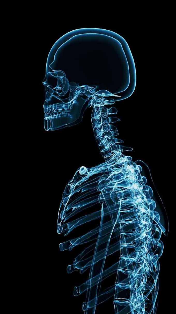 create professional skeleton motion design for animation