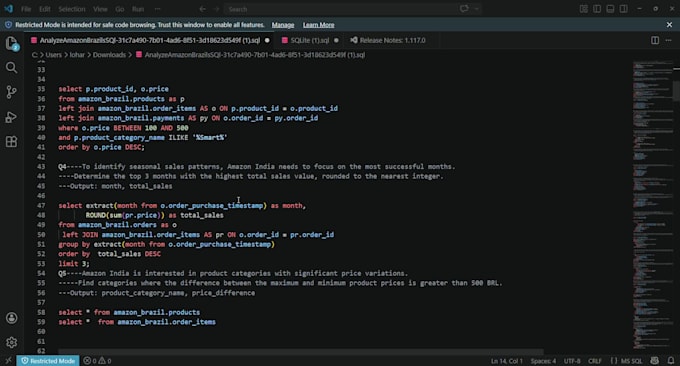 write sql queries, analyze data and create reports