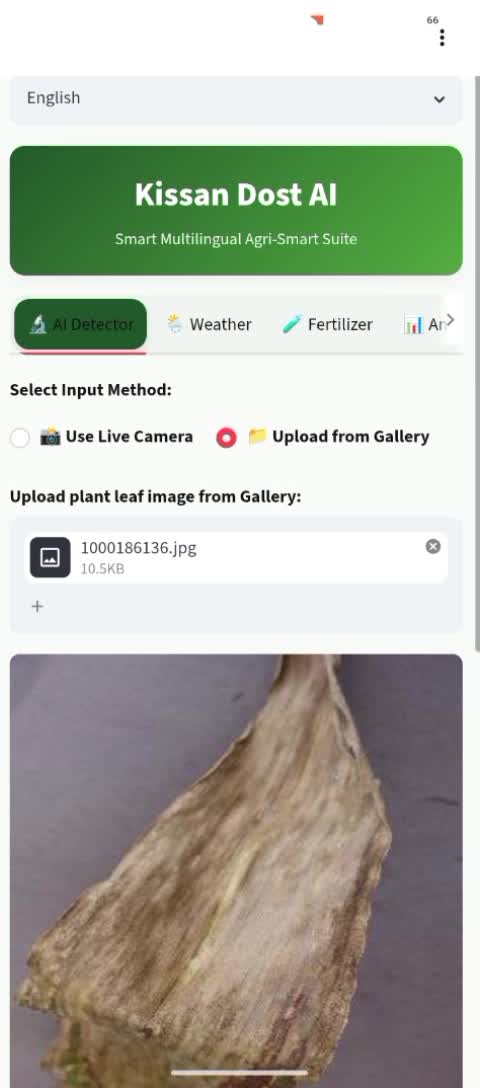 train an image classification model