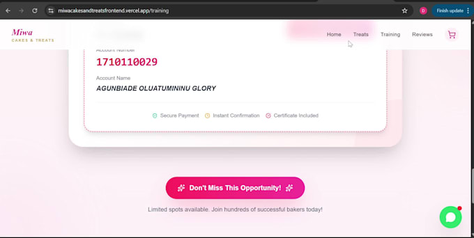 professional full stack web developer for your business