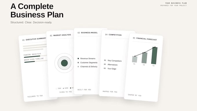 write a professional business plan