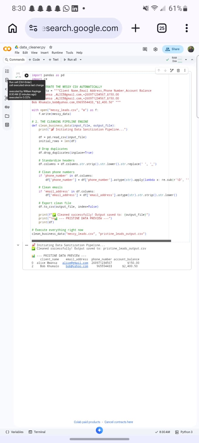 clean format and organize your excel or csv data with python