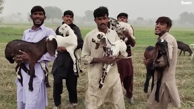 do happy birthday video or africa happy birthday video