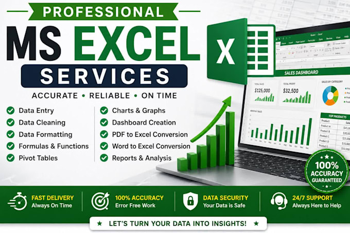 do professional microsoft excel data entry,
