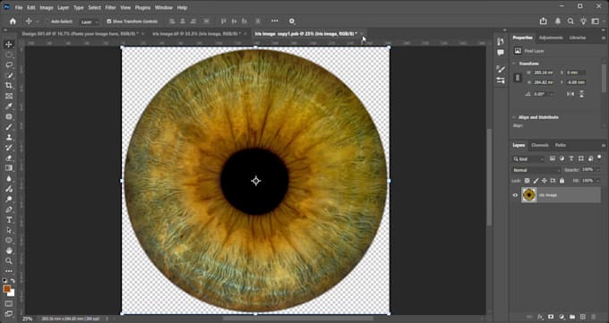 create iris design templates for your business